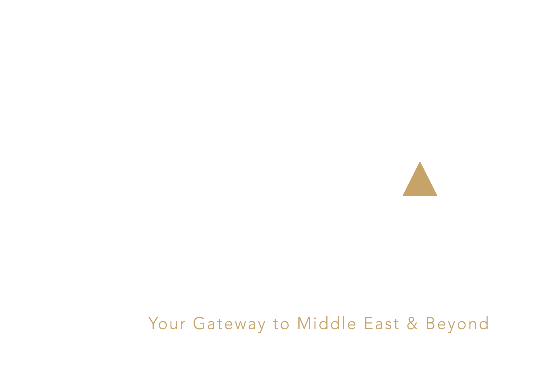 MENA Travel Market mena-travel-market